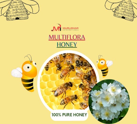 Multiflora Honey