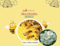 Multiflora Honey